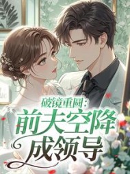 破镜重圆：前夫空降成领导最新小说阅读