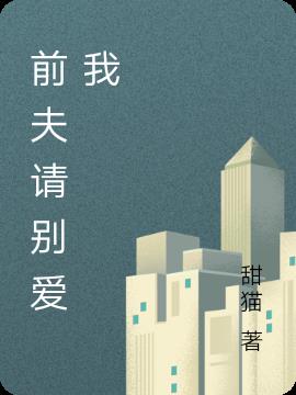 前夫请别爱我