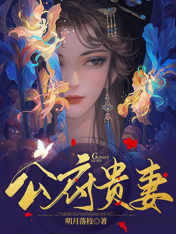 公府贵妻小说阅读