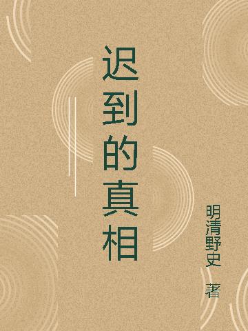 迟到的真相小说阅读