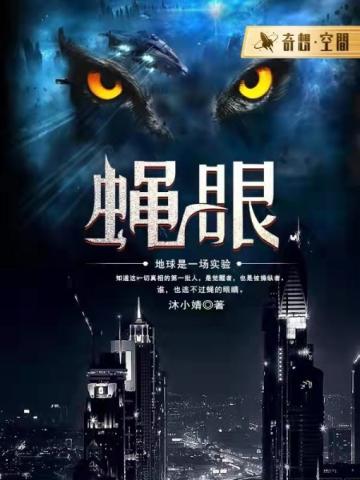蝇眼小说阅读