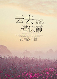 云去槿似霞小说阅读