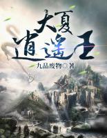 大夏九皇子小说阅读