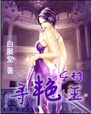 乡村寻艳王小说阅读