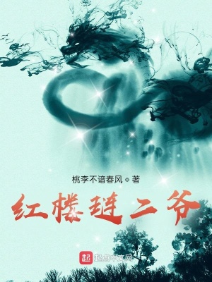 红楼琏二爷顶点小说阅读