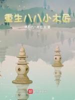 重生八八小木匠小说阅读