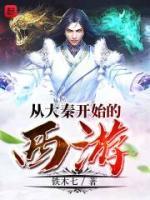 从大秦开始的西游小说阅读