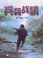 兵袭战狼小说阅读