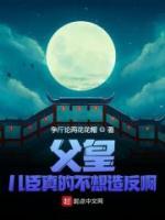 父皇，儿臣真的不想造反啊小说阅读