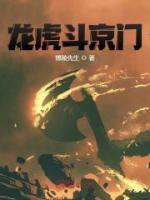 龙虎斗京门小说阅读
