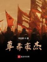 草莽豪杰小说阅读