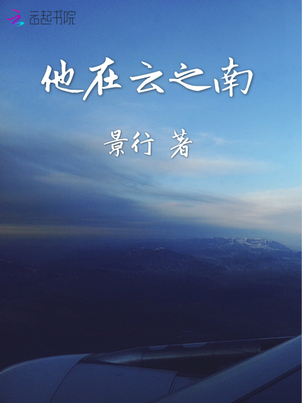 他在云之南小说阅读
