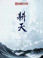 耕天小说阅读