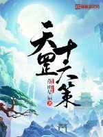 天罡十六策小说阅读