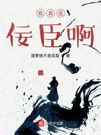 我真是佞臣啊小说阅读