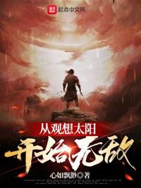 从观想太阳开始无敌小说阅读