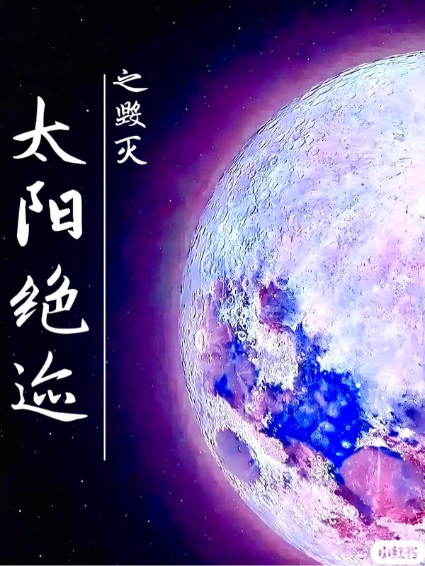 太阳绝迹之毁灭小说阅读