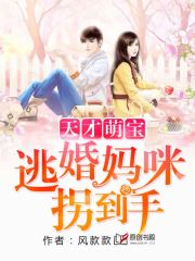 天才萌宝：逃婚妈咪拐到手小说阅读