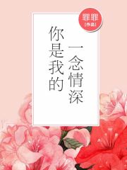 你是我的一念情深小说阅读
