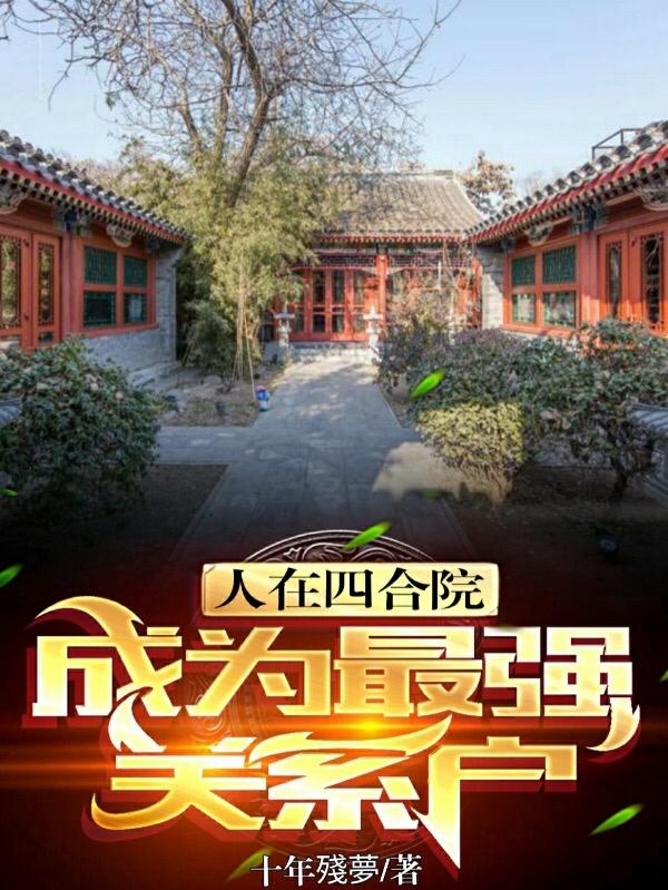 人在四合院，成为最强关系户小说阅读