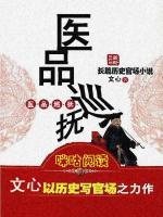 医品巡抚小说阅读