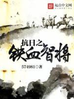 抗日之铁血智将小说阅读