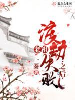容徽沈书简小说阅读