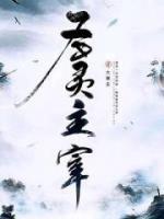 圣灵主宰小说阅读