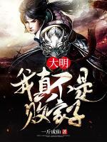 大明：我真不是败家子！小说阅读