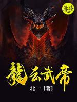 龙云武帝小说阅读