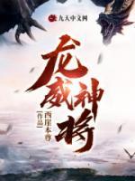 龙威神将小说阅读