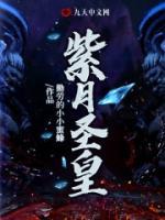 紫月圣皇小说阅读