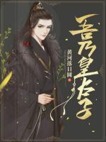 吾乃皇太子小说阅读