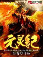 元灵纪小说阅读
