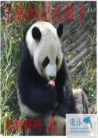 上仙的记名弟子小说阅读