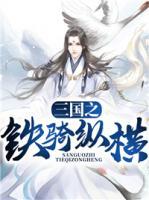 三国之铁骑纵横小说阅读
