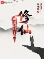 陆北白锦小说阅读