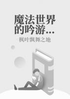 魔法世界的吟游诗人小说阅读