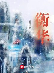 衡华小说阅读