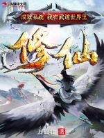 成就系统：我在武道世界里修仙小说阅读